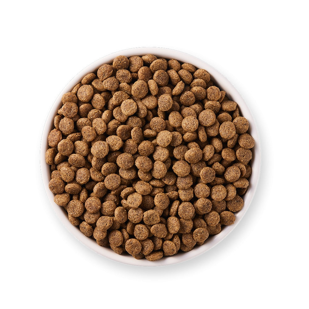 Yarrah Bio Katze Trockenfutter weizenfrei Huhn & Fisch (MSC) – auch für Kätzchen - BioTierFutter Onlineshop