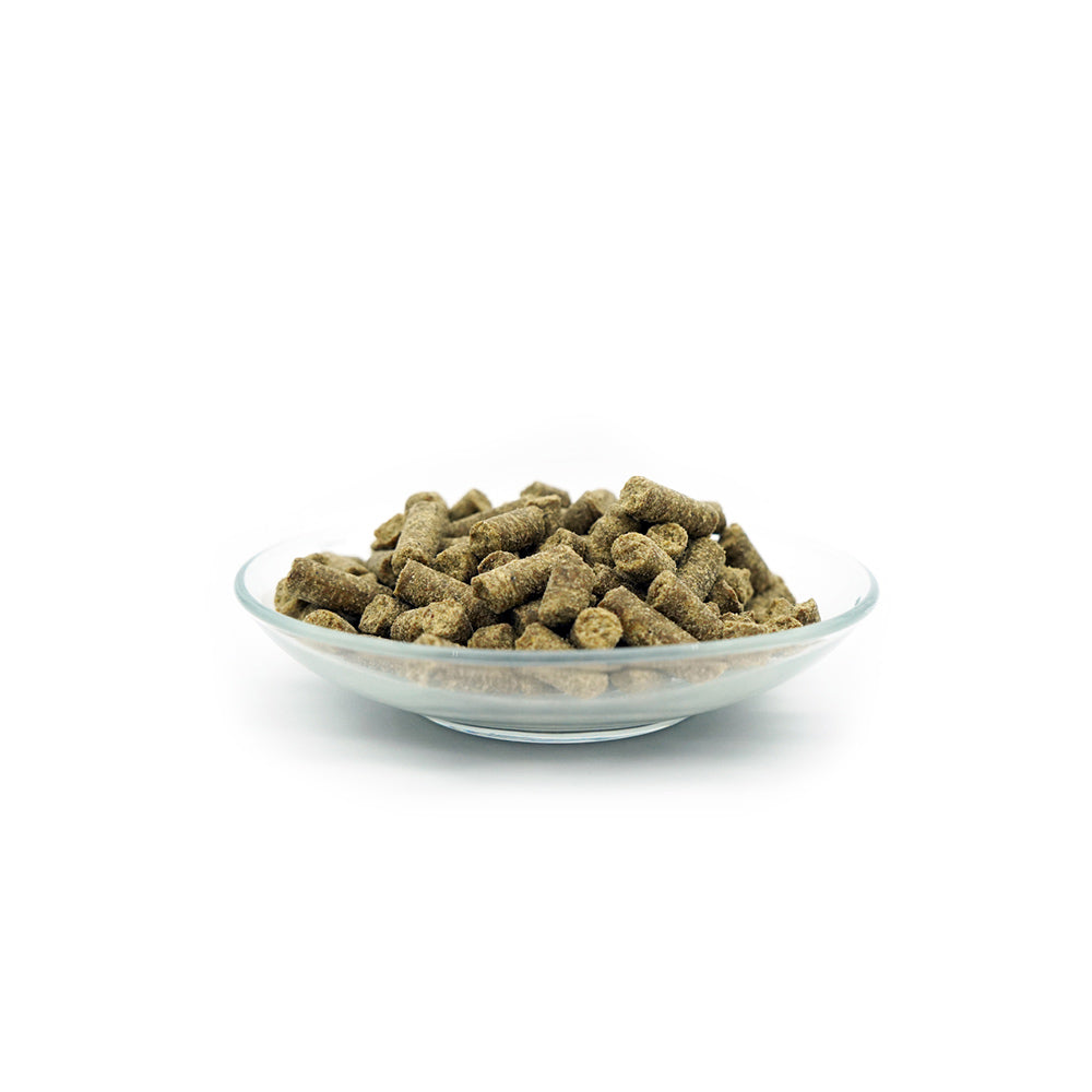 Bellfor Trockenfutter mit Insekten Naturgut-Schmaus - BioTierFutter Onlineshop
