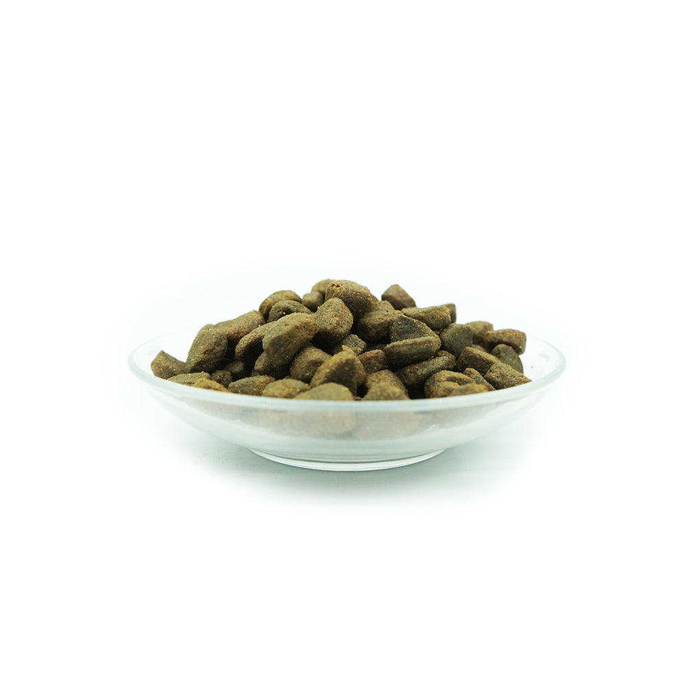 Bellfor Trockenfutter mit Wildlachs Wildbach-Schmaus - BioTierFutter Onlineshop
