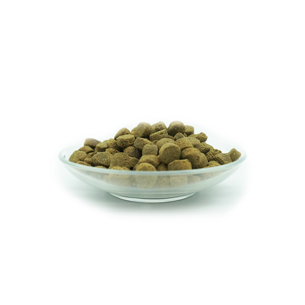 Bellfor Trockenfutter für Hunde - Freiland-Schmaus - BioTierFutter Onlineshop