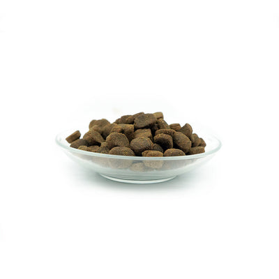 Bellfor Trockenfutter mit Insekten Landgut-Schmaus - BioTierFutter Onlineshop
