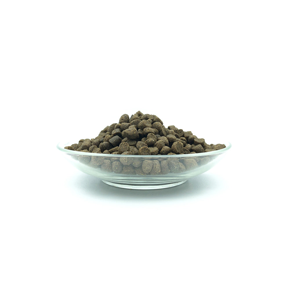 Bellfor Trockenfutter mit Insekten Landgut-Schmaus Junior - BioTierFutter Onlineshop