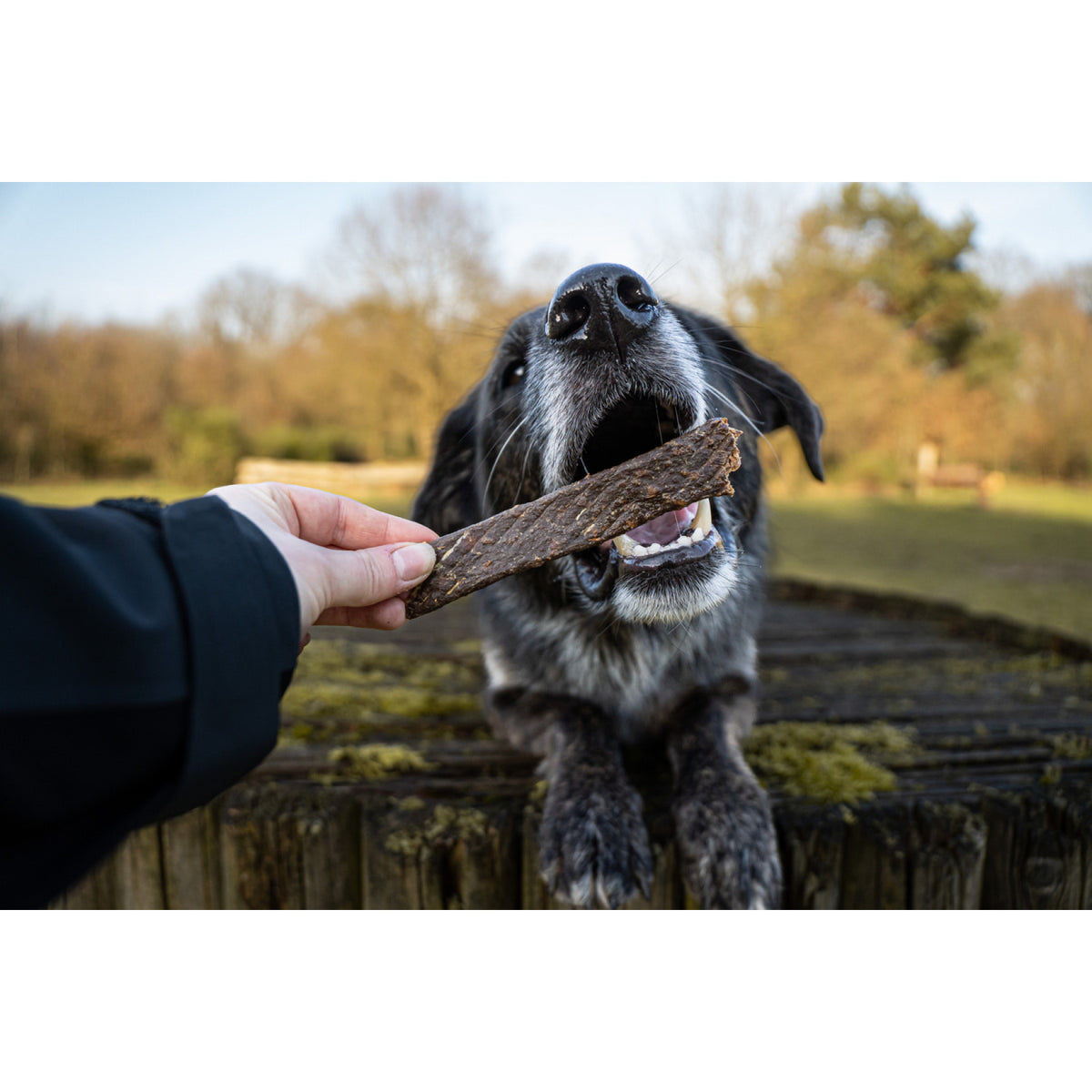 Bellfor Gesunder Hundesnack - Fleischstreifen Lamm 100 g - BioTierFutter Onlineshop