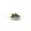 I love my cat Hypoallergenes Katzenfutter Nass mit Insekten 6 x 100g - BioTierFutter Onlineshop