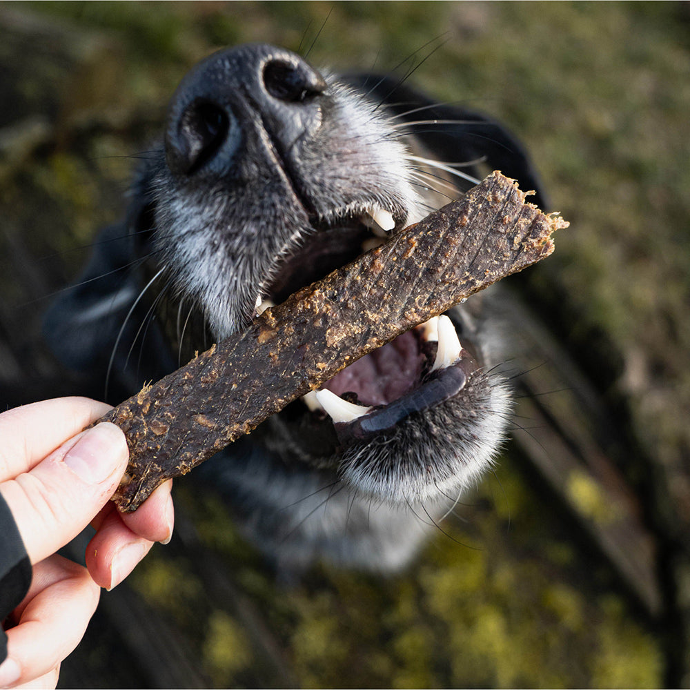 Bellfor Gesunder Hundesnack - Fleischstreifen Ziege 100 g - BioTierFutter Onlineshop