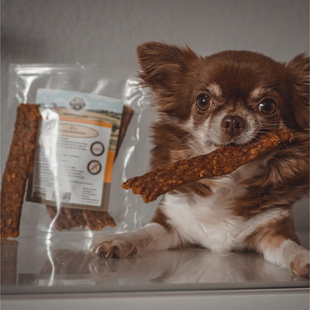 Bellfor Gesunder Hundesnack - Hühner Trockenfleisch 100 g - BioTierFutter Onlineshop
