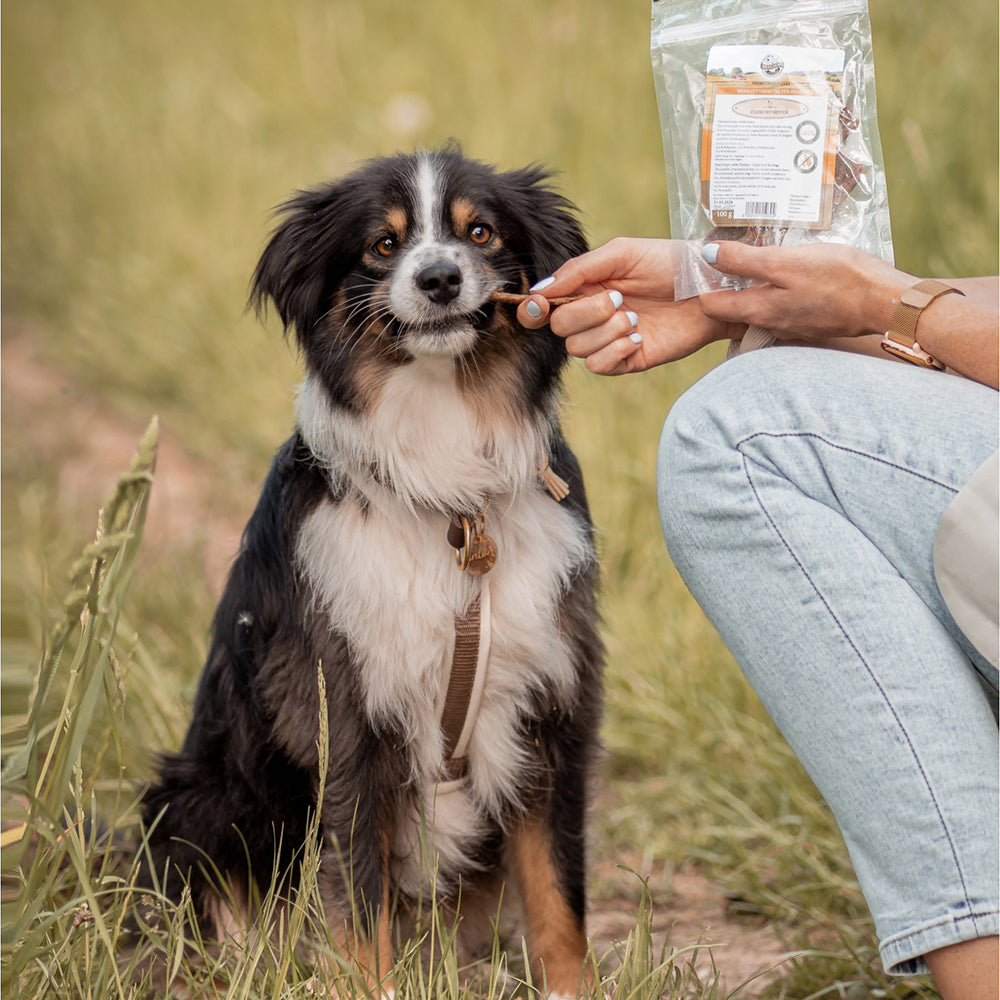 Bellfor Gesunder Hundesnack - Hühner Trockenfleisch 100 g - BioTierFutter Onlineshop