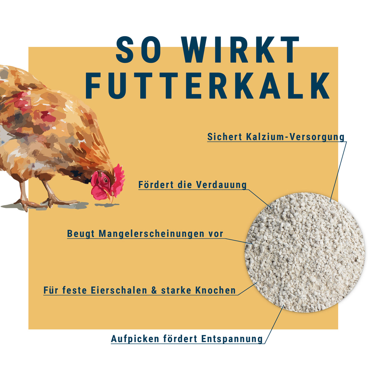 BioPiepFood Futterkalk für Hühner – Calcium für Eierschalen & Knochen