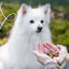 Yarrah Bio Trainings-Happen mit Huhn für Hunde – 150 g